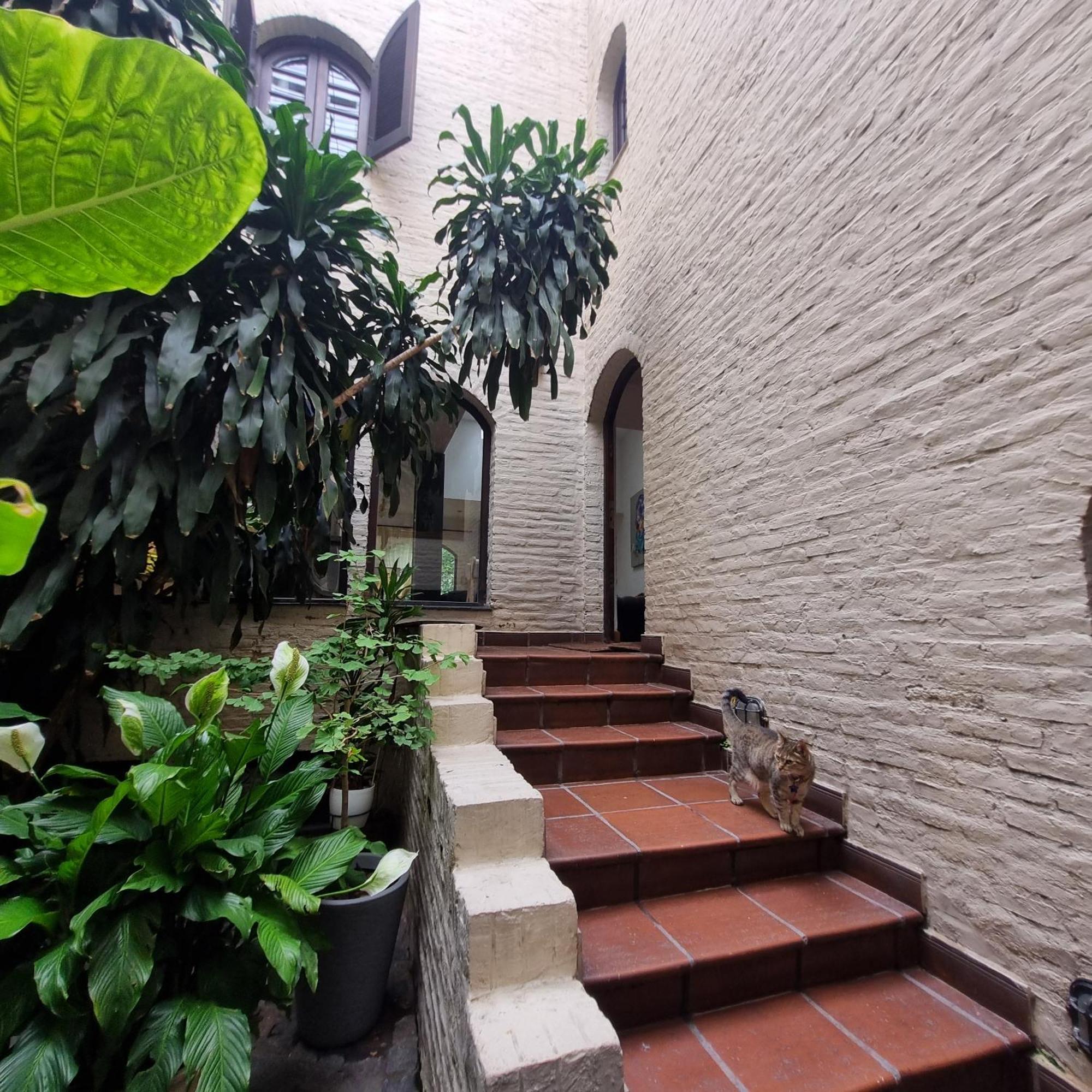 Сasa de vacaciones Exclusiva - Casa De Diseno Con Pileta, Jacuzzi, Gimnasio, Juegos Y Entretenimiento En El Corazon De Palermo - Props *
